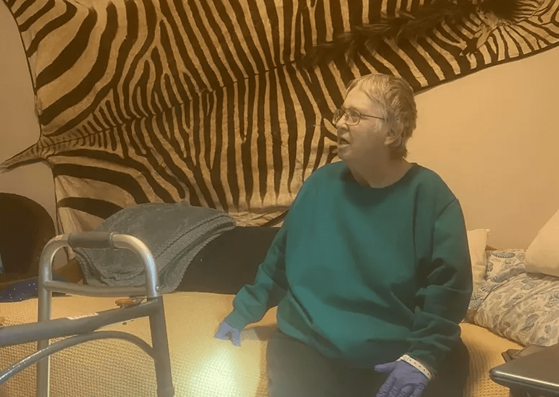 Zebra pattern decor in cozy room